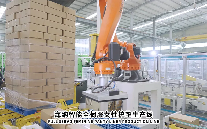 HAINA panty liner production line equipment reference